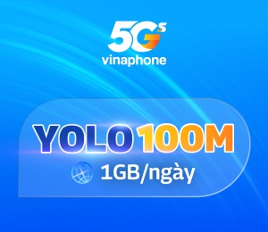 YOLO 100M