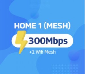 HOME 1 MESH