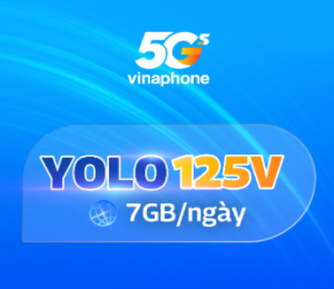 YOLO 125V